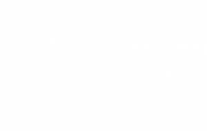 ICO Registered